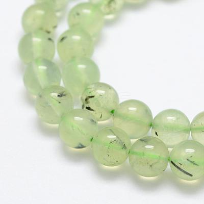 Natural Prehnite Beads Strands G-P322-47-8mm-1