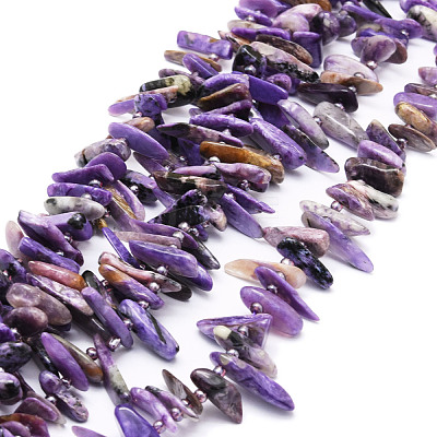 Natural Charoite Beads Strands G-E569-O03-1