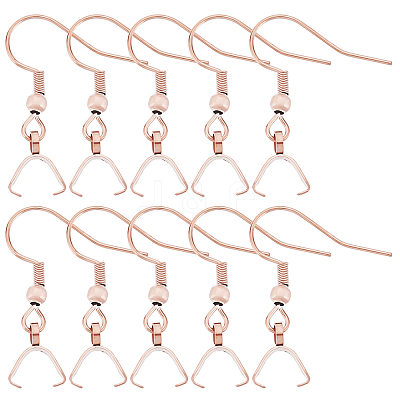 50Pcs 304 Stainless Steel Hooks STAS-BBC0001-49RG-1