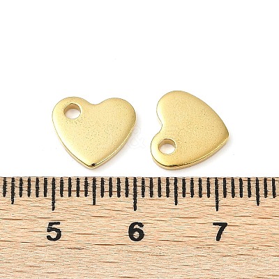 304 Stainless Steel Charms X-STAS-Q112-G-1