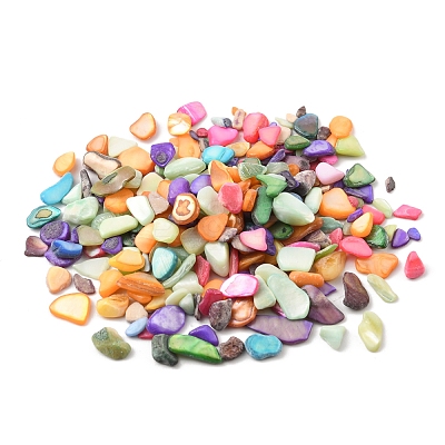 50G Dyed Natural Freshwater Shell Chip Beads BSHE-YW0001-04-1