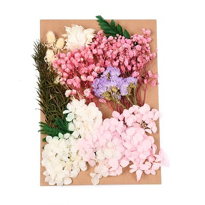 Dried Flower DIY-B018-10-1
