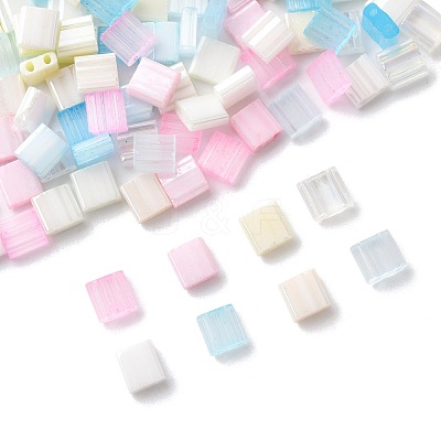 100Pcs 10 Styles 2-Hole Glass Seed Beads SEED-FS0001-45-1