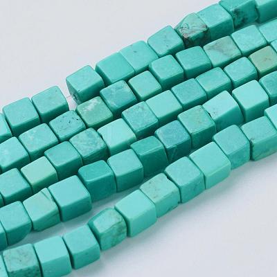 Natural Magnesite Beads Strands TURQ-K003-24-1