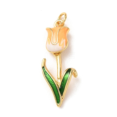 Brass with Enamel Pendants KK-CBA2F11-06G-1