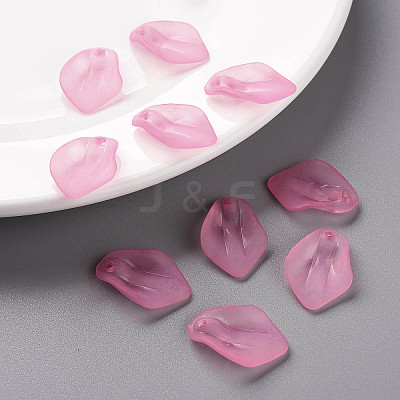 Transparent Frosted Acrylic Pendants LS-MACR-S371-03A-704-1
