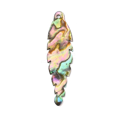 Natural Paua Shell Pendants SSHEL-WH0003-02-1
