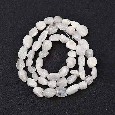 Natural Rainbow Moonstone Beads Strands G-G018-48-01-1
