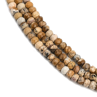 Natural Picture Jasper Beads Strands G-P572-A01-01-1