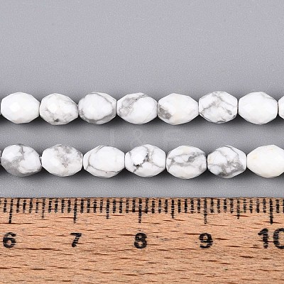 Natural Howlite Beads Strands G-T142-79-1