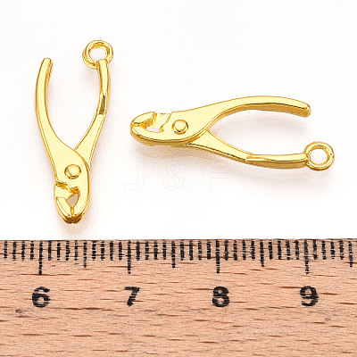 Alloy Pendants X1-PALLOY-N176-120G-1