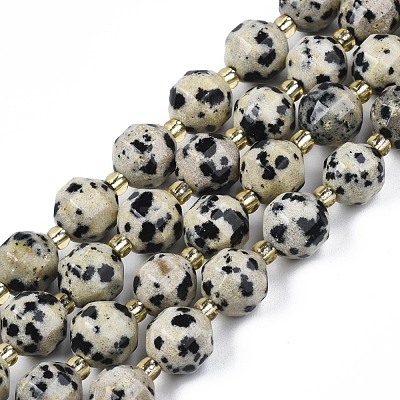 Natural Dalmatian Jasper Beads Strands G-N326-100-02-1