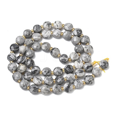 Natural Map Stone Beads Strands G-K389-B84-01-1