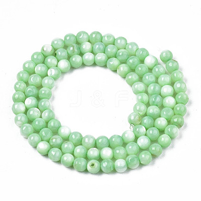 Natural Freshwater Shell Beads Strands X-SHEL-N003-24-B03-1