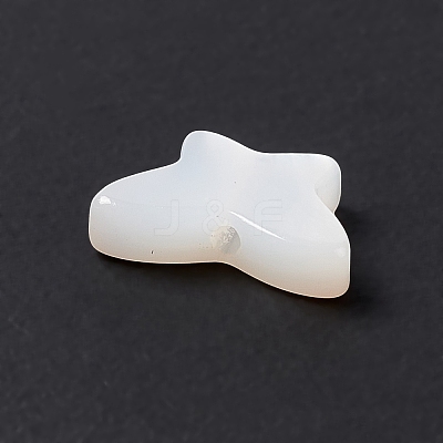 Natural White Shell Beads BSHE-G031-05-1