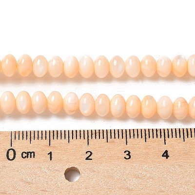 Natural Freshwater Shell Beads Strands SSHEL-C013-07H-1