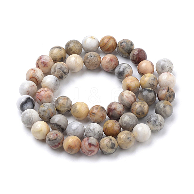 Natural Crazy Lace Agate Round Bead Strands G-E334-6mm-20-1