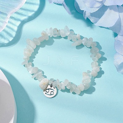 Natural White Moonstone Stretch Bracelets BJEW-JB11147-04-1