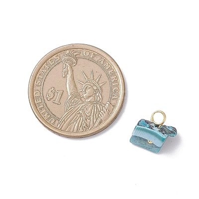 Dyed Natural Shell Chip Charms PALLOY-JF04556-1