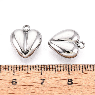 304 Stainless Steel Charms LS-STAS-T065-80P-1