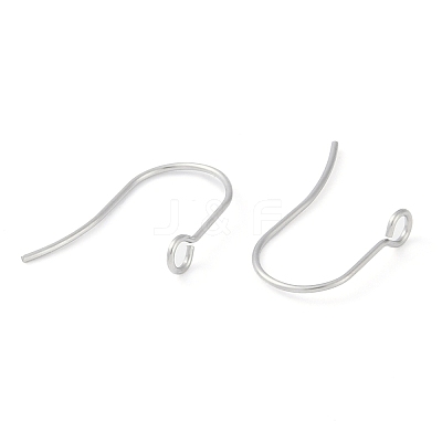 Tarnish Resistant 316 Surgical Stainless Steel Earring Hooks X-STAS-P162-13P-B01-1