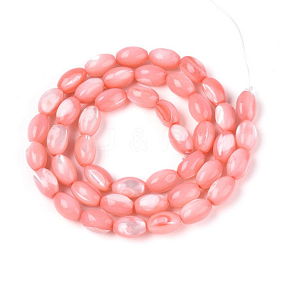 Natural Trochus Shell Beads Strands SHEL-K006-19-01E-1