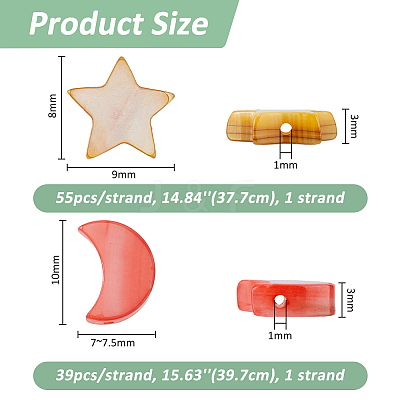 2 Strands 2 Styles Dyed Natural Shell Beads Strands SHEL-FH0001-25-1