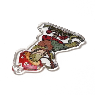Printed Transparent Acrylic Pendants LS-MACR-G059-11F-1