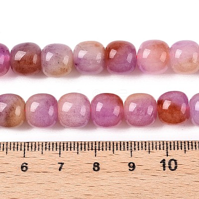 Dyed Natural White Jade Beads Strands G-T138-D07-1