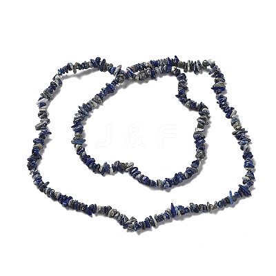 Natural Lapis Lazuli Beads Strands G-E607-A01-1