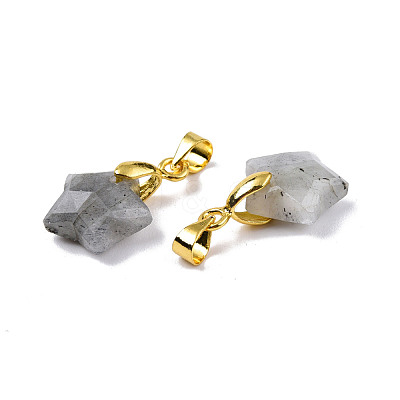 Natural Labradorite Charms G-N326-142-06-1