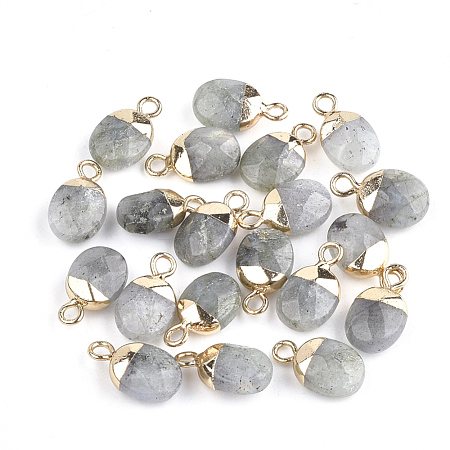 Electroplate Natural Labradorite Charms X-G-S344-09D-1