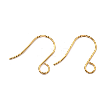 316 Stainless Steel French Earring Hooks JX138G-01-1