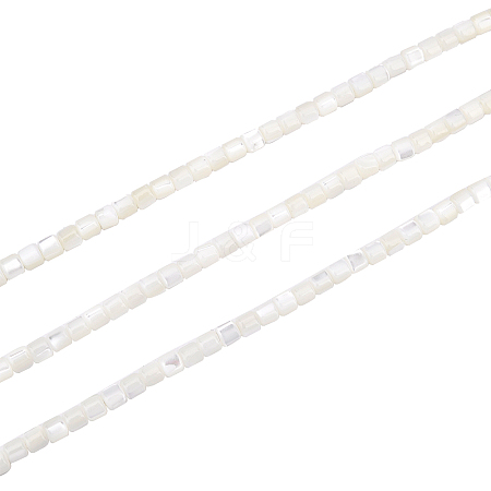 SUPERFINDINGS 3 Strands Natural Trochid Shell/Trochus Shell Beads Strands SSHEL-FH0001-12-1