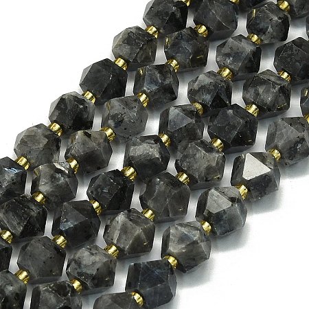 Natural Larvikite Beads Strand G-I376-A13-01-1