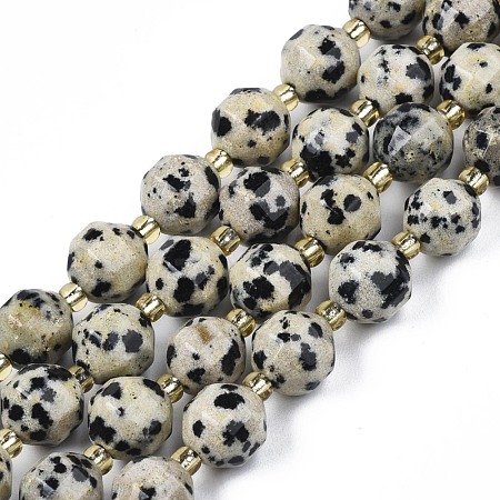 Natural Dalmatian Jasper Beads Strands G-N326-100-02-1