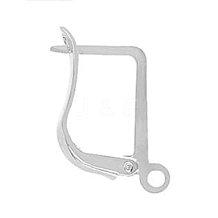 304 Stainless Steel Hoop Earring Findings STAS-E194-26P-1