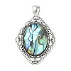 Natural Paua Shell Pendants SH-K001-01C-1