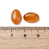 Natural Carnelian Cabochons G-K348-06-3