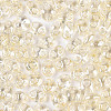 Transparent Colours Luster Glass Seed Beads SEED-N008-09G-3