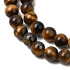 Natural Tiger Eye Round Beads Strands X-G-S177-6mm-6