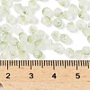 Frosted Glass Beads X1-FGLA-D300-01G-4