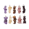 10Pcs 5 Colors 12 Constellation Natural Citrine & Tiger Eye & Amethyst & Strawberry Quartz & Garnet Pendants PALLOY-JF02839-11-1