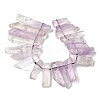 Natural Amethyst Beads Strands G-S386-D04-3