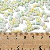 Macaron Color Opaque Frosted Glass Seed Beads X1-SEED-K009-12B-04-4