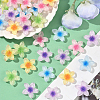 50Pcs 5 Colors Transparent Resin Cabochons RESI-SC0006-24-5