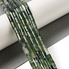 Natural Moss Agate Beads Strands G-B091-A10-01-2