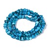 Natural Freshwater Shell Beads Strands SHEL-N037-04I-2