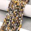 Natural Bumblebee Jasper Beads Strands G-L597-C03-01-2