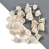 Natural Shell Beads Strands X-SHEL-K009-11-2
